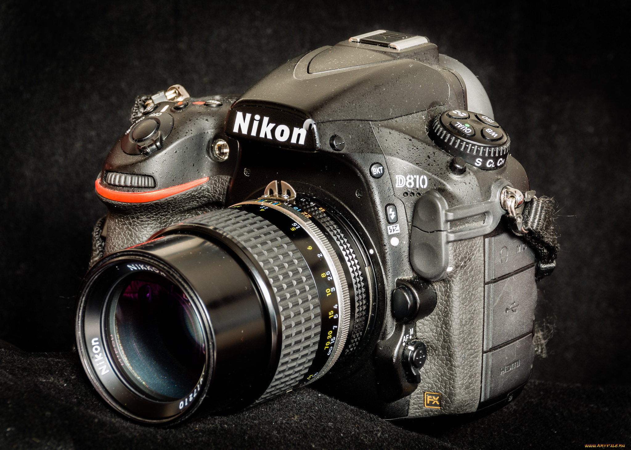 , nikon, 